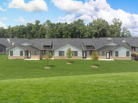 a group of houses in a field with trees in the background